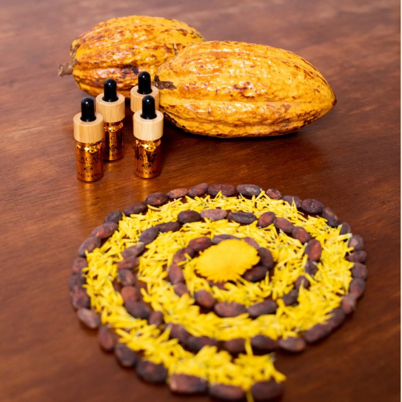 Cacao Essential Oil (5 ml) – Peru - Bild 3